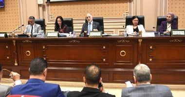 لجنة التضامن بمجلس النواب: الرئيس السيسي أكبر داعم لذوى القدرات الخاصة