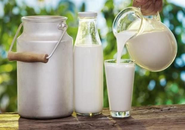 بعد سن الأربعين.. عنصران غذائيان يحتاجهما جسمك للحفاظ على الصحة والنشاط