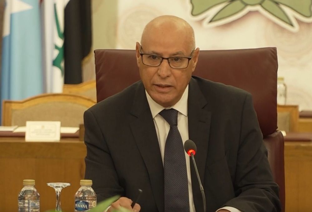 الجامعة العربية: تؤكد أهمية دور الإعلام في منظومة حقوق الإنسان