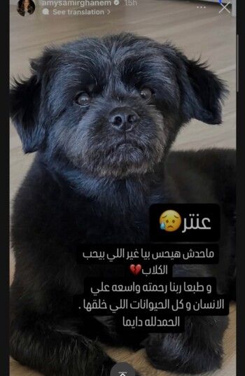 إيمي سمير غانم تعيش حالة من الحزن بعد فقدان كلبها "عنتر"