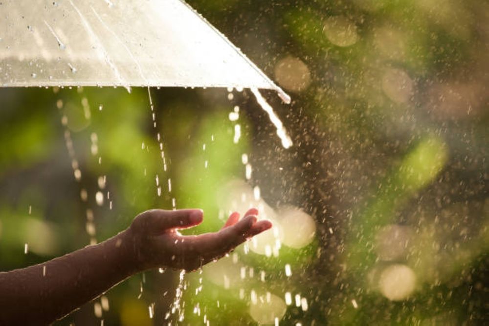 حتى الأحد.. استمرار الأمطار الرعدية على معظم المناطق