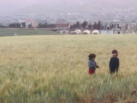 نقيب مزارعي القمح والحبوب ناشد وزير الزراعة تأمين الادوية الخاصة بحشرة السونا