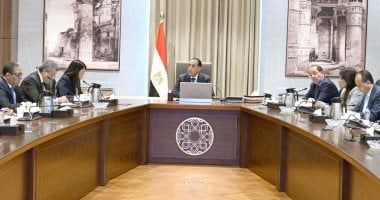 رئيس الوزراء يتابع أعمال اللجنة الخاصة بحوكمة الاستثمارات العامة بالدولة