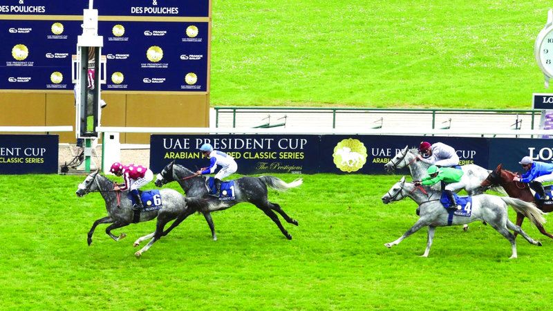 الامارات | كأس رئيس الدولة للخيول العربية ينطلق في باريس اليوم