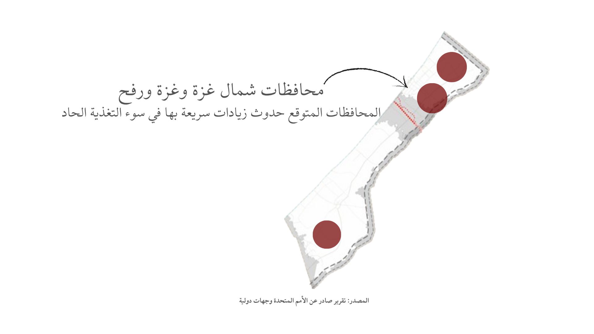 250% زيادة في "تصنيف الخطر".. هكذا يموت سكان غزة جوعًا