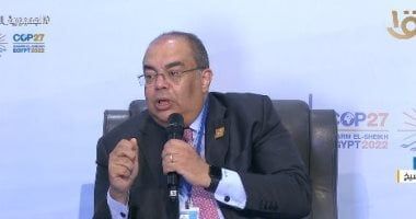 محيى الدين: يجب الاستعداد لمرحلة ما بعد انتهاء برنامج مصر الحالى مع صندوق النقد