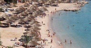 أخبار الاقتصاد اليوم.. إنجاز محطة الضبعة النووية وفق المعدل الزمنى