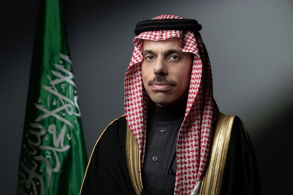 وزير الخارجية يبحث المستجدات الإقليمية والدولية مع نظيرته النمساوية