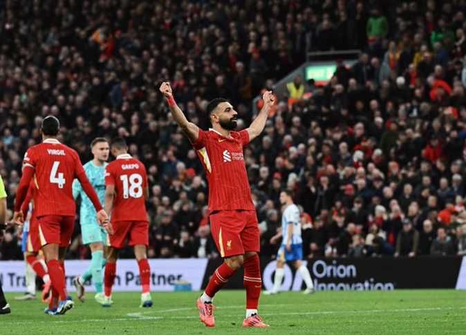 مباشر مباراة ليفربول وبرايتون اليوم (0-0) في الدوري الإنجليزي الممتاز