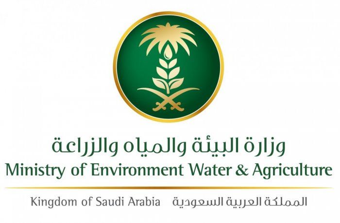 السعودية | تزامنًا مع اليوم العالمي للنحل.. “البيئة” تعلن إنشاء 7 محطات لتربية ملكات النحل وإنتاج الطرود وتشغيلها عام 2026م