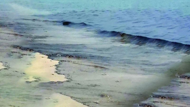 الامارات | تعليق السباحة مؤقتاً على شاطئ خورفكان بسبب «بقع زيتية»