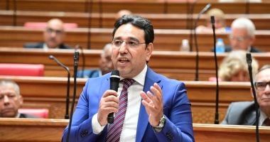 النائب أيمن محسب يتقدم بطلب إحاطة بشأن غش عسل النحل فى الأسواق