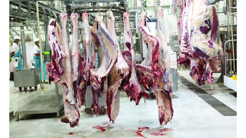 الامارات | أطباء يحذّرون من ولائم العيد الثقيلة: تزيد خطر الجلطات