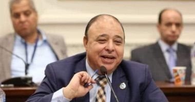 رئيس صحة الشيوخ: 30 يونيو أنقذت مصر والرئيس السيسي قاد مسيرة بناء الدولة