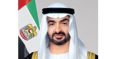 الرئيس الإماراتى يستقبل رئيس مجلس الوزراء وزير خارجية قطر
