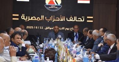 طارق درويش: تحالف الأحزاب المصرية قادر على المنافسة فى الانتخابات القادمة