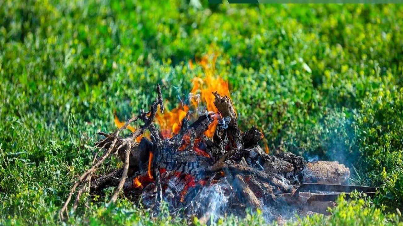 الأمن البيئي يحذر: غرامة 3 آلاف لإشعال النار على أراضي الغطاء النباتي