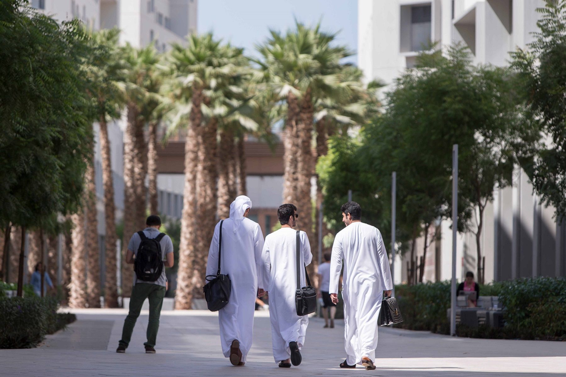 الامارات | 6300 تخصص بديل للطلبة المواطنين الدارسين في جامعات غير معترف بها