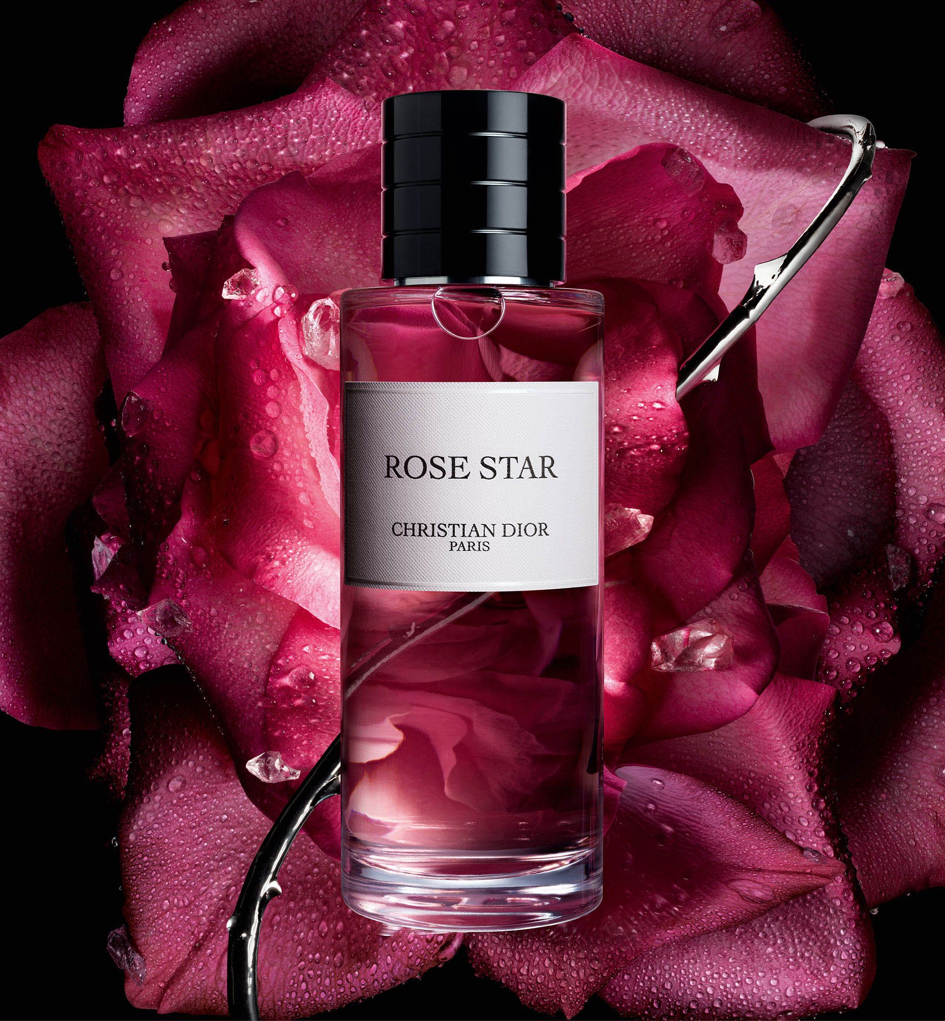 عطر روز ستار من ديور.. لمسة عطرية ساحرة تجمع بين الحنين والابتكار