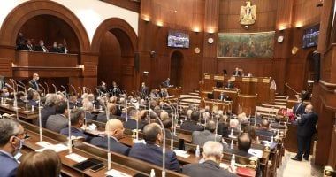 مجلس الشيوخ يفتح ملف التنمر والعنف والتحرش بـ3 طلبات مناقشة