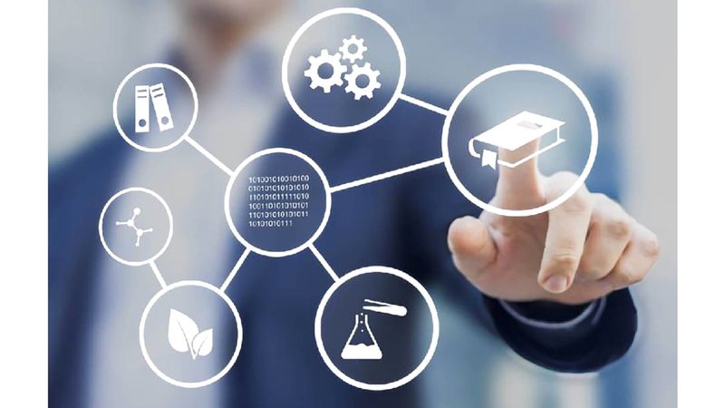 الامارات | 6 معايير استرشادية لاختيار التخصص الجامعي المناسب