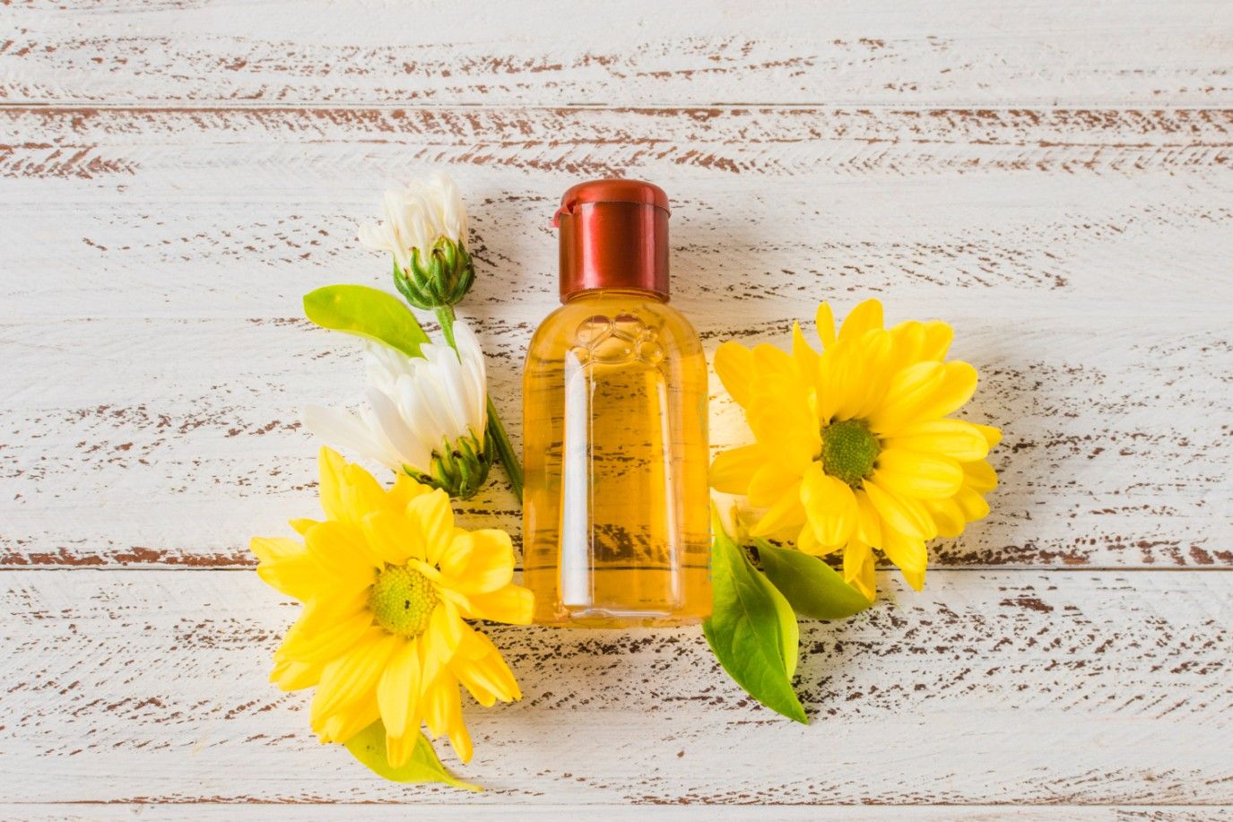 عطور نسائية حيوية تدوم طويلاً لصيف 2025... اجعليها على قائمة خياراتك