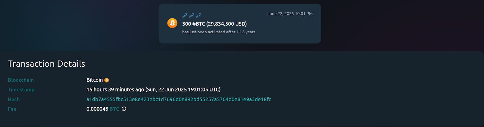 مستثمر يحقق ما يقرب من 30 مليون دولار من بيتكوين اشتراها عام 2013