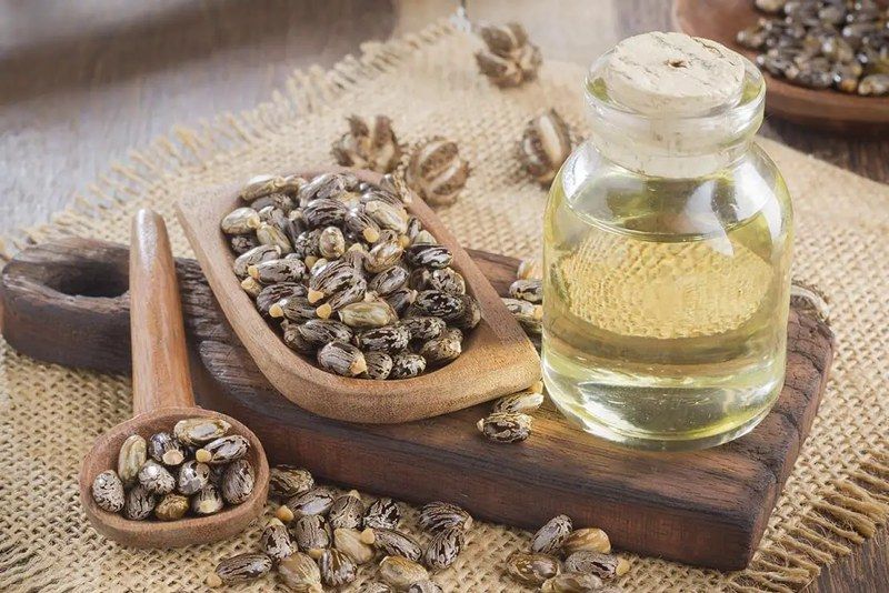 الامارات | زيت الخروع.. تعرف إلى فوائد وطرق استعمال «بوتوكس الطبيعة»