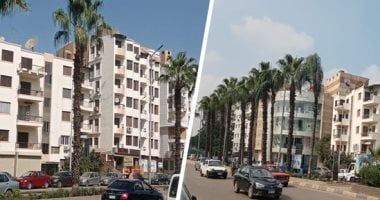 للحصول على الترخيص.. اشتراطات بقانون البناء لحماية العقارات ضد المخاطر