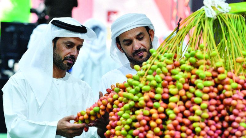 الامارات | ليوا للرطب.. مهرجان حب النخيل يتجدد