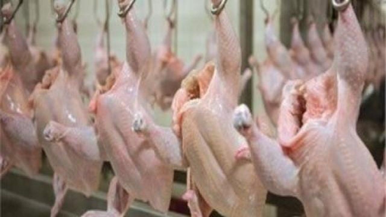 ضبط مسلخ دواجن عشوائيًا في الرياض
