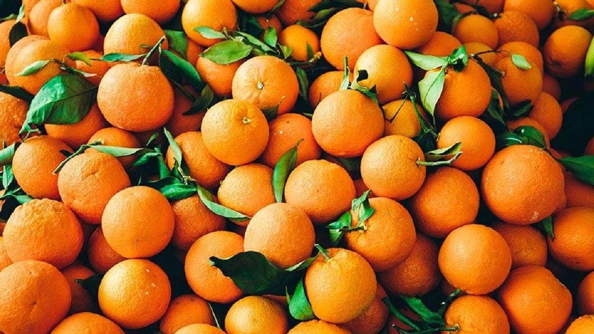 الامارات | فائدة جديدة يكتشفها العلماء لفيتامين سي.. علاج واعد