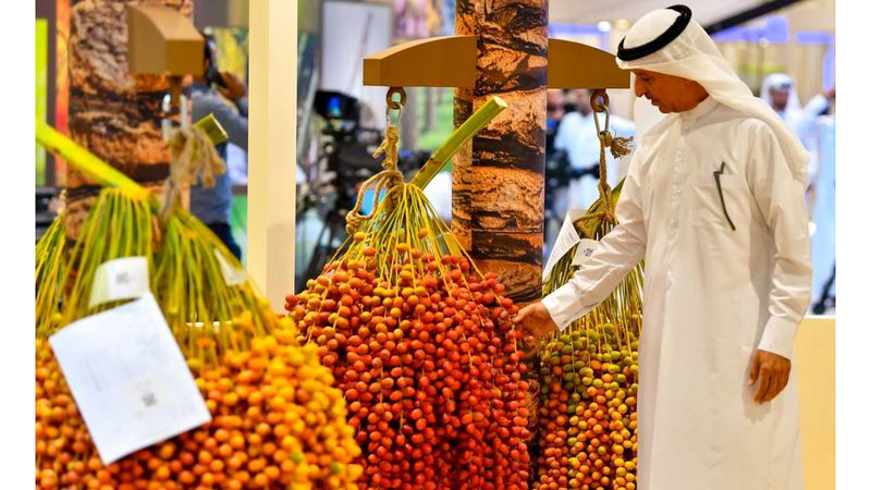 الامارات | مركز حمدان بن محمد لإحياء التراث يطلق «كأس تمرة البيت»