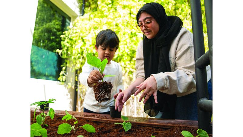 الامارات | براعم يزرعون 2500 نبتة في أبوظبي
