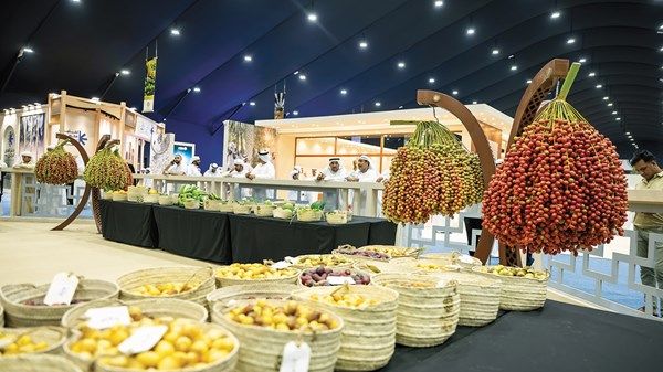 إقبال جماهيري كبير ومشاركات واسعة في «ليوا للرطب»