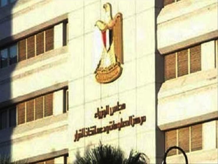 "الوزراء": الدولة مستمرة في دعم محصول الذرة الشامية وتعمل على زيادة إنتاجيته