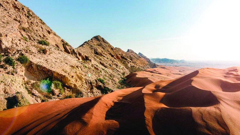 الامارات | سالم القاسمي: «الفاية» إنجاز تاريخي وثمرة تعاون بين الجهات الوطنية