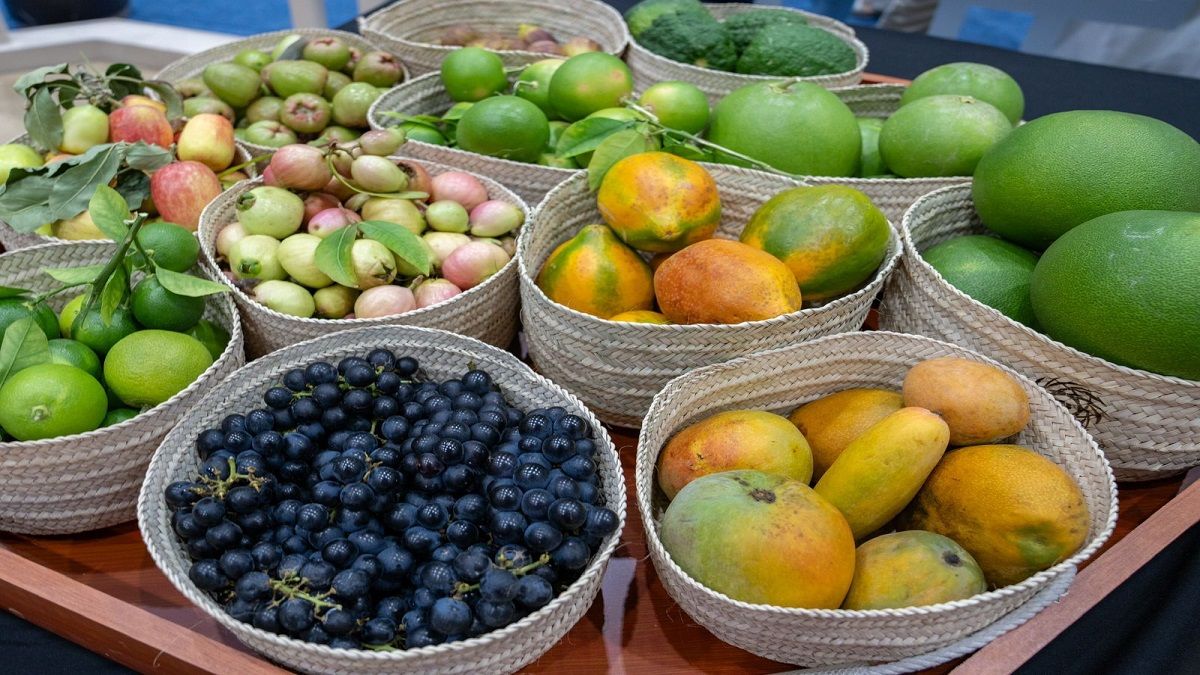 الامارات | خيرات مزارع الإمارات تزين «سلة فواكه الدار» بـ238 صنفاً