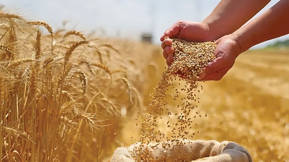 التغير المناخي يضرب موائد الطعام.. و5 محاصيل تنذر بأزمات عالمية