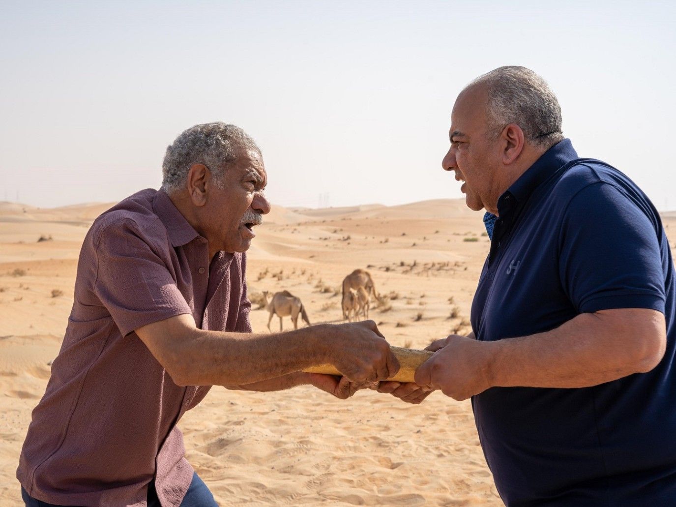سيد رجب يتعرض للإصابة أثناء تصوير فيلم شلة ثانوي