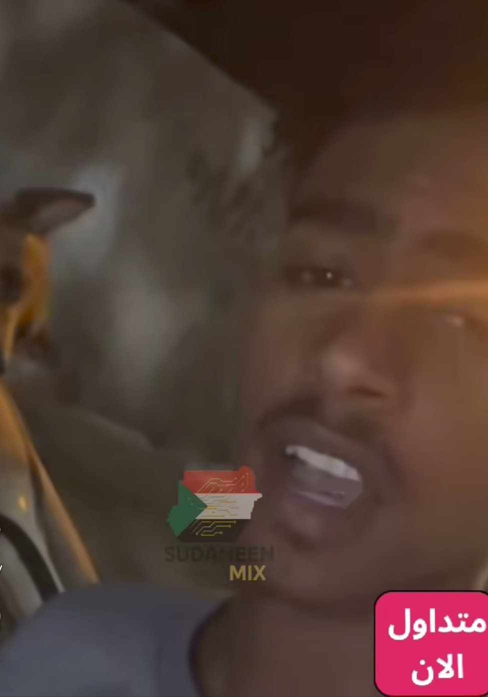 شاهد.. الفيديو “الترند” على مواقع التواصل الاجتماعي.. شاب “سوداني” يحاول تقليد فتاة “مصرية” ويدفع الثمن غالياً