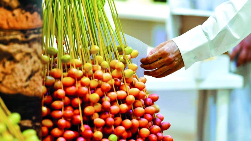 الامارات | «تباشير الخير» تعود إلى جنبات متحف الشندغة