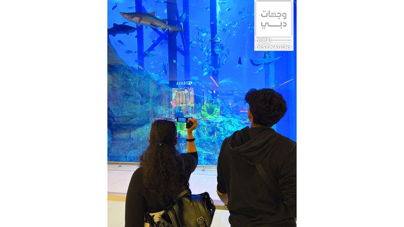 الامارات | زيارة إلى 33 ألف كائن بحري
