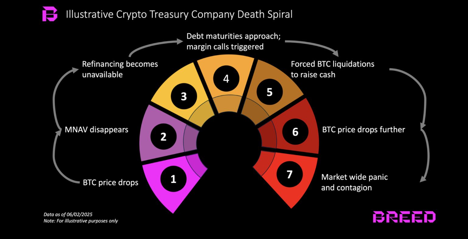 شركات تقليدية تدخل مجال احتياطيات العملات الرقمية بشراء بيتكوين وXRP وSolana