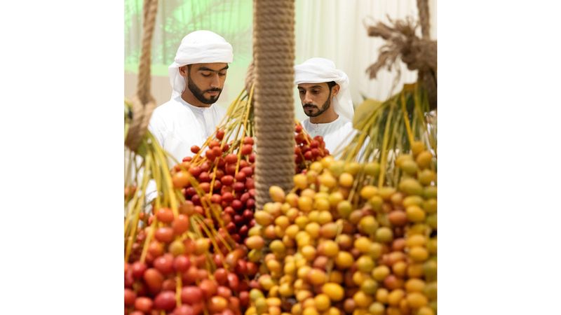 الامارات | «دبي للرطب».. 8 أيام من الاحتفاء بـ «الشجرة الأم»