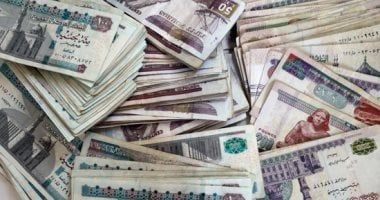 صناديق التأمين الخاصة تستثمر 10.9 مليار جنيه خلال 5 أشهر من 2025