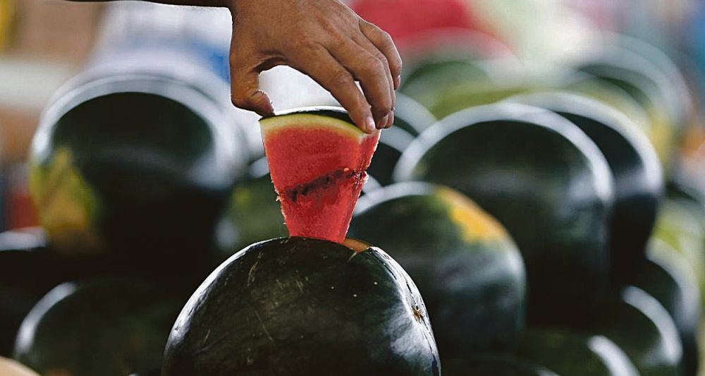 البطيخ يروي صيف المملكة ويغمر الأسواق بأكثر من 610 ألف طن