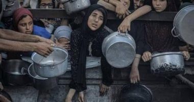 عضو بـ"القومى لحقوق الإنسان" : دعوات التجمهر أمام السفارات المصرية مخطط يضر القضية