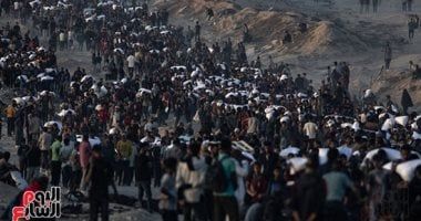 برلمانى: دعوات التظاهر أمام السفارات خبيثة تستهدف التقليل من جهود مصر لدعم فلسطين