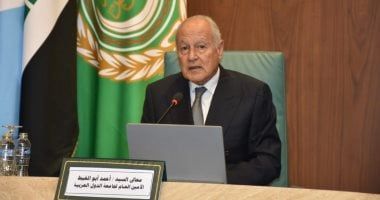 أبو الغيط يوجه بتشكيل بعثة لمتابعة انتخابات مجلس الشيوخ - الخليج 365